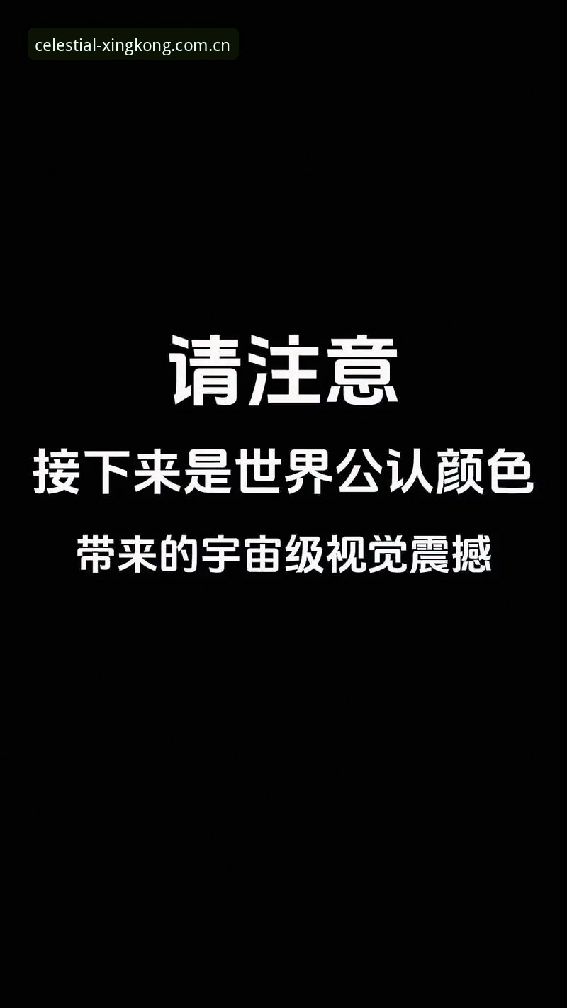 评测星空体育体育娱乐：5个关键维度带你深入了解